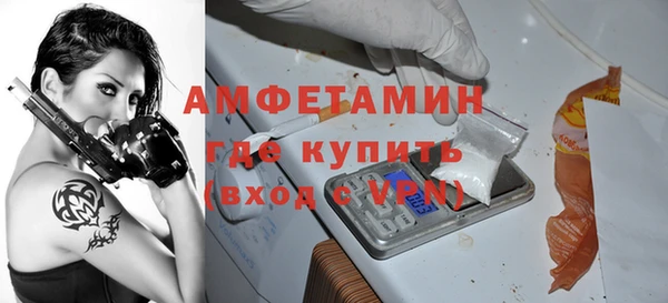шишки Медвежьегорск