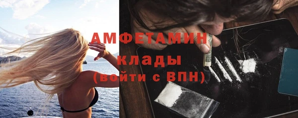 шишки Медвежьегорск