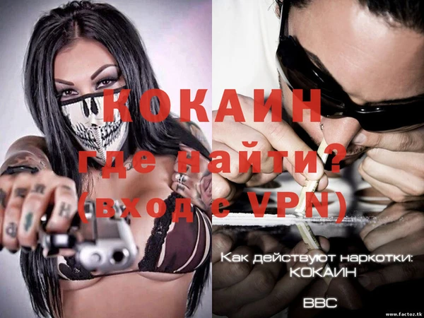 шишки Медвежьегорск