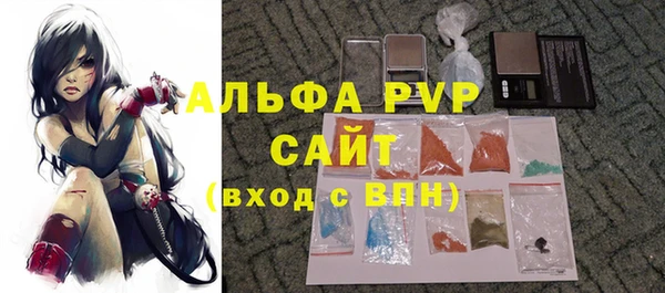 шишки Медвежьегорск