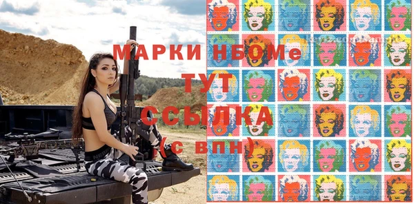 шишки Медвежьегорск