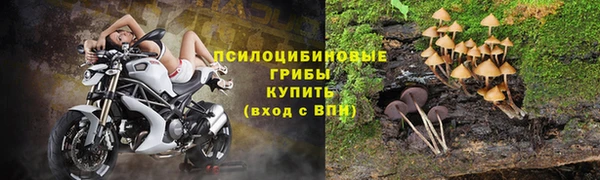 прущая мука Медногорск