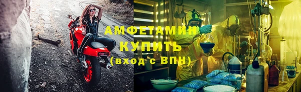 шишки Медвежьегорск