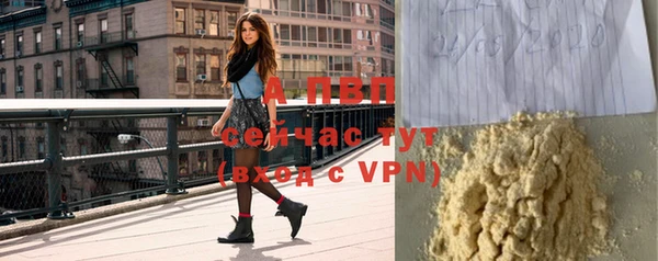 шишки Медвежьегорск