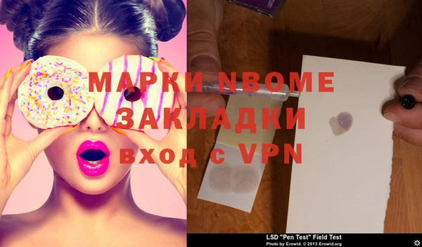 шишки Медвежьегорск