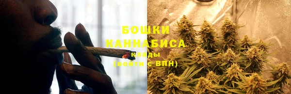 шишки Медвежьегорск