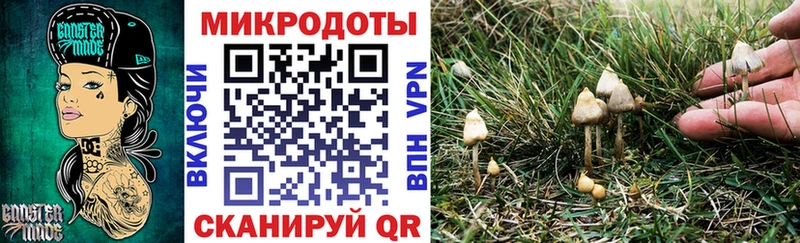 Псилоцибиновые грибы прущие грибы  кракен маркетплейс  Александровское 